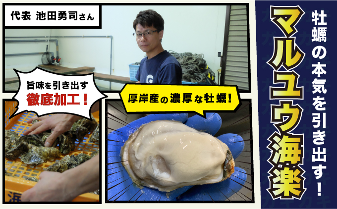 4月～6月配送 訳あり 牡蠣 北海道厚岸産 殻付カキ 約4kg (25～50個) カキナイフ付 生食