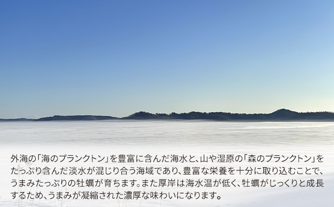 1名様 牡蠣スペシャル堪能コース&オイスターファーマー中嶋氏のライブトーク付き