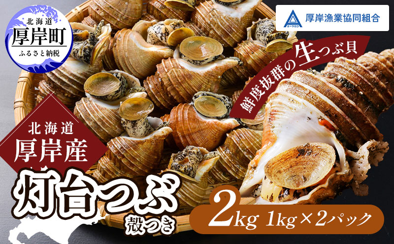 先行受付 北海道 厚岸産 殻灯台 つぶ 2kg（1kg×2パック） 魚介類 海の幸 海産物 海鮮 貝 つぶ貝 希少 下処理不要 刺身 塩茹で お酒のあて つまみ 国産 北海道産