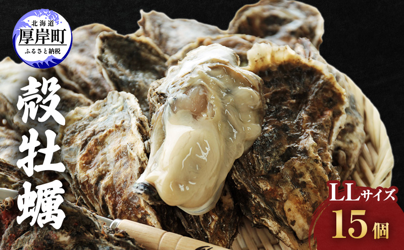 牡蠣 厚岸産殻牡蠣 LLサイズ 15個 セット 魚介類 産地直送 生牡蠣 オイスター 海の幸 海鮮 生食用 生食用牡蠣