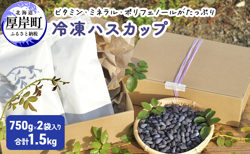 厚岸ハスカ 冷凍ハスカップ 2袋（750g×2 計1.5kg）