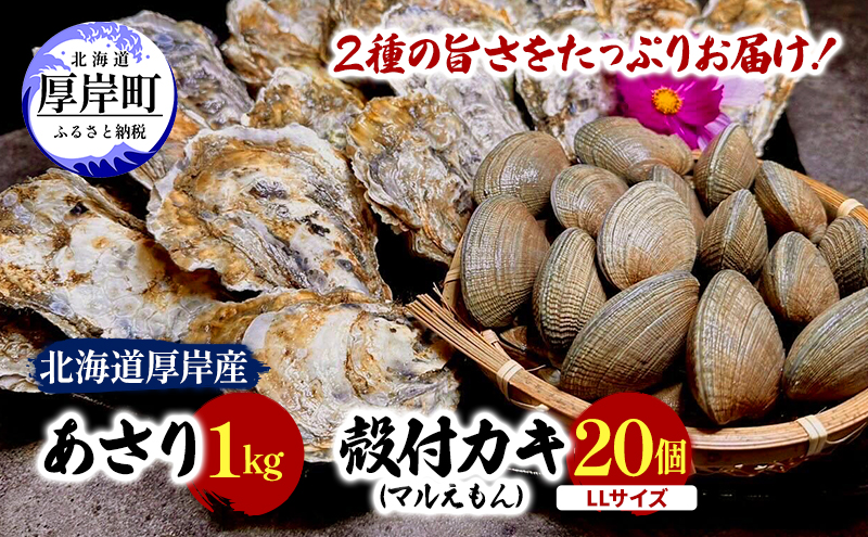 北海道 厚岸産 砂抜き済み あさり 1kg ＆ ブランド牡蠣 マルえもん 殻付き LLサイズ 20個 【光輝】 [ 魚貝類 海鮮 海の幸 みそ汁 酒蒸し アサリバタ 産地直送 生食用牡蠣 生食用 牡蠣 カキ ］