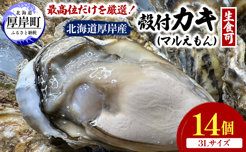 北海道 厚岸産 ブランド牡蠣 マルえもん 殻付き 牡蠣 3Lサイズ 14個 【光輝】 [ 魚貝類 生牡蠣 海鮮 海の幸 生食用牡蠣 生食用 生食用殻付き牡蠣 濃厚 甘み  オイスター ]