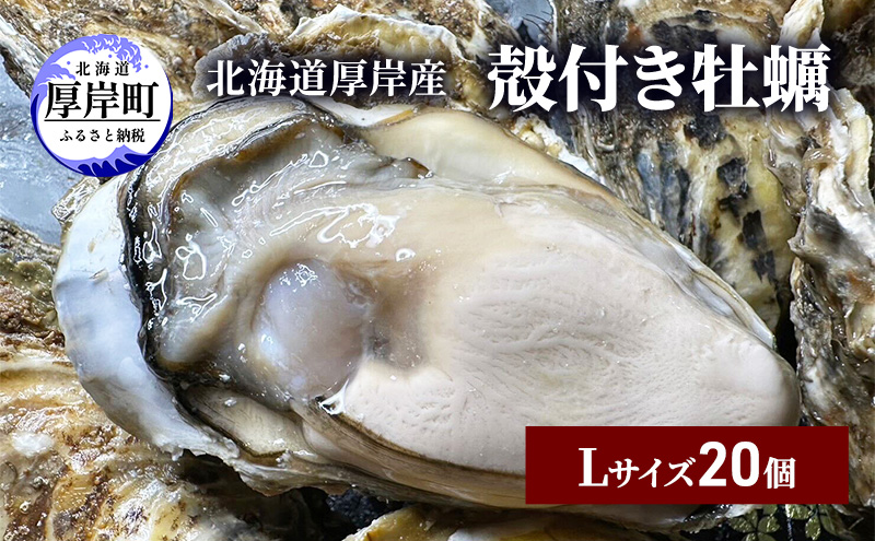 北海道 厚岸産 殻付き 牡蠣 Lサイズ 20個 魚貝類 生牡蠣 海鮮 海の幸 生食用牡蠣 生食用 生食用殻付き牡蠣 濃厚 甘み マルえもん オイスター 