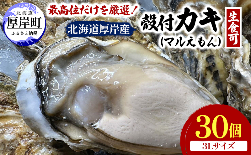 北海道 厚岸産 ブランド牡蠣 マルえもん 殻付き 牡蠣 3Lサイズ 30個 【光輝】 [ 魚貝類 生牡蠣 海鮮 海の幸 生食用牡蠣 生食用 生食用殻付き牡蠣 濃厚 甘み  オイスター ]