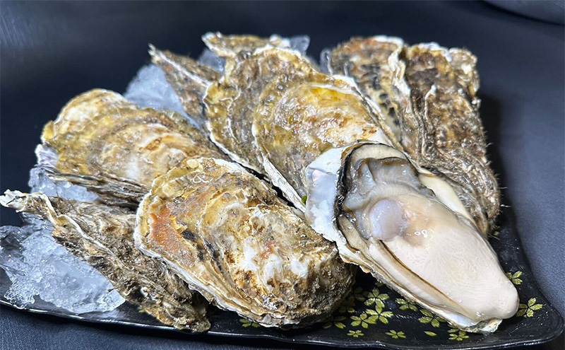 北海道 厚岸産 殻付き 牡蠣 3Lサイズ 40個