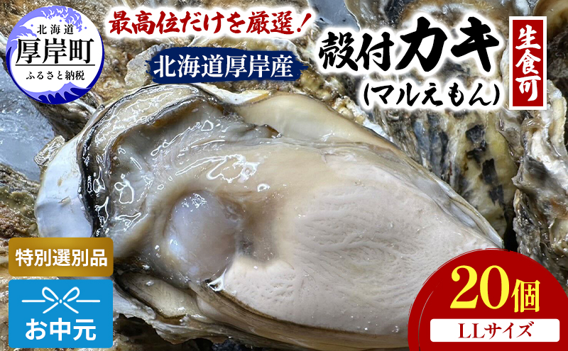 【お中元】北海道 厚岸産 ブランド牡蠣 マルえもん 殻付き 牡蠣 LLサイズ 20個 【光輝】 [ 魚貝類 生牡蠣 海鮮 海の幸 生食用牡蠣 生食用 生食用殻付き牡蠣 濃厚 甘み  オイスター ]