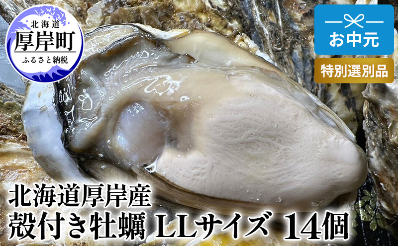 北海道 厚岸産 殻付き 牡蠣 LLサイズ 14個 お中元 特別選別品