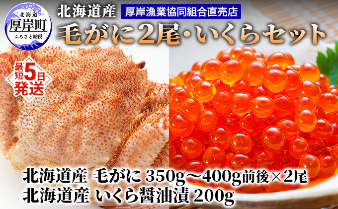 厚岸漁協イチオシ！【3D冷凍】北海道産 毛がに（約350g～400g）2尾・いくら200gセット