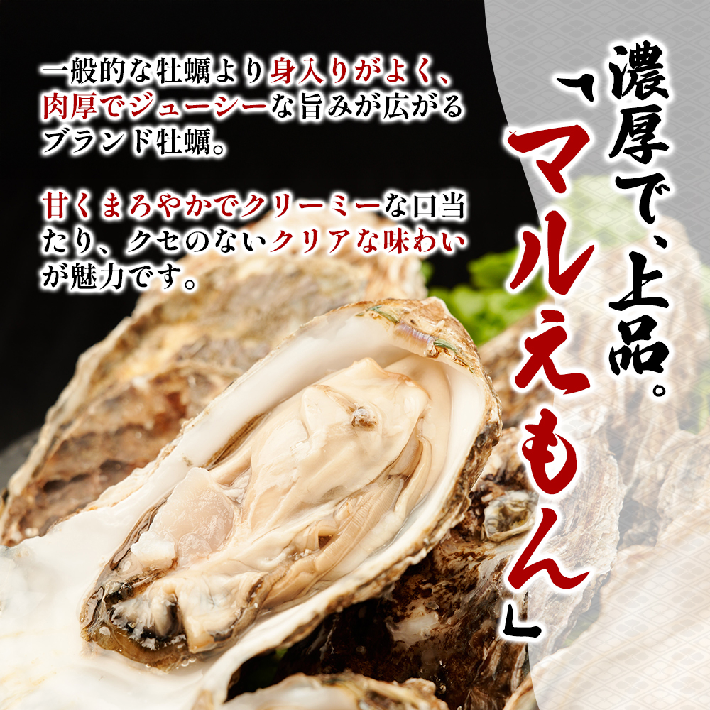 訳あり 北海道 厚岸産  殻付き 牡蠣 350g 【光輝】 [ 魚貝類 生牡蠣 海鮮 海の幸 生食用牡蠣 生食用 生食用殻付き牡蠣 濃厚 甘み  オイスター ]  