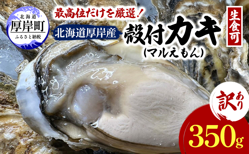 訳あり 北海道 厚岸産  殻付き 牡蠣 350g 【光輝】 [ 魚貝類 生牡蠣 海鮮 海の幸 生食用牡蠣 生食用 生食用殻付き牡蠣 濃厚 甘み  オイスター ]