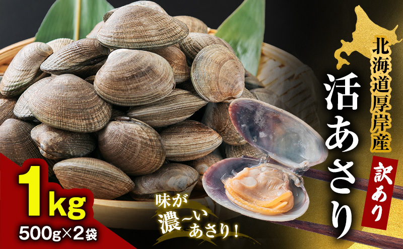 あさり 訳あり 北海道 厚岸産 砂出し済み 活あさり 500g×2 (合計1kg) 【厚岸海産】[ アサリ 魚貝 海鮮 大粒 美味しい 栄養 旨み 砂出し 水洗い 冷蔵 便利 ]