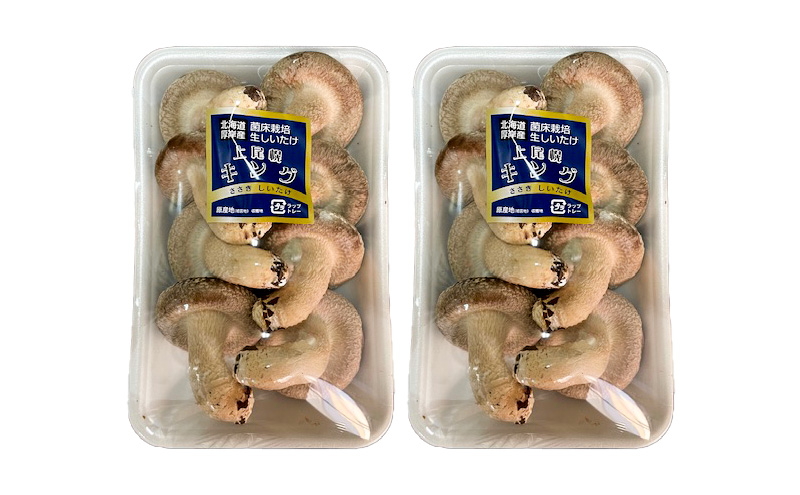 蛹玲オキ驕鍋肇 蜴壼イク逕コ 荳雁ーセ蟷 闖悟コ頑ス蝓ケ 繧ュ繝ウ繧ー縺励>縺溘¢ 2繝代ャ繧ッ