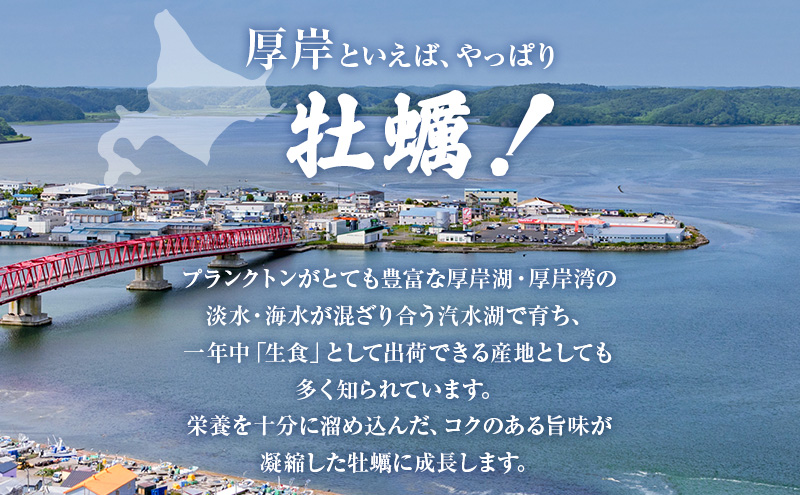 先行予約 厚岸ブランド 牡蠣 3種 (全18個) 北海道産 ホタテ 3枚