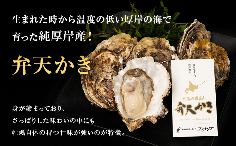 厚岸産 『 マルえもん 』『 カキえもん 』『 弁天かき 』3種 食べ比べ セット  北海道 牡蠣 カキ かき 生食 生食用 生牡蠣