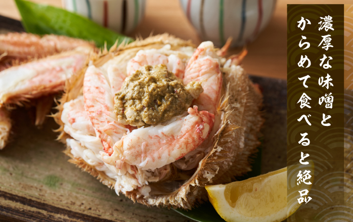 蛹玲オキ驕鍋肇 豬懆源縺ァ 豈帙′縺ォシ600ス650g蜑榊セ鯉シ1蟆セ 豈帙き繝 陝ケ 縺九↓ 繧ォ繝 鬲夊イ晞。