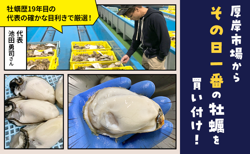 【 6ヵ月 定期便 】 北海道 厚岸産 ちょびっと 牡蠣 むいちゃいました！ ( 生食用 ) 300g カキ むき身 