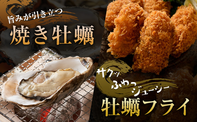 厚岸産『 カキえもん 』『 マルえもん 』 食べ比べ セット 北海道 牡蠣 カキ かき 生食用 生牡蠣 殻付 食べ比べ 魚介類 