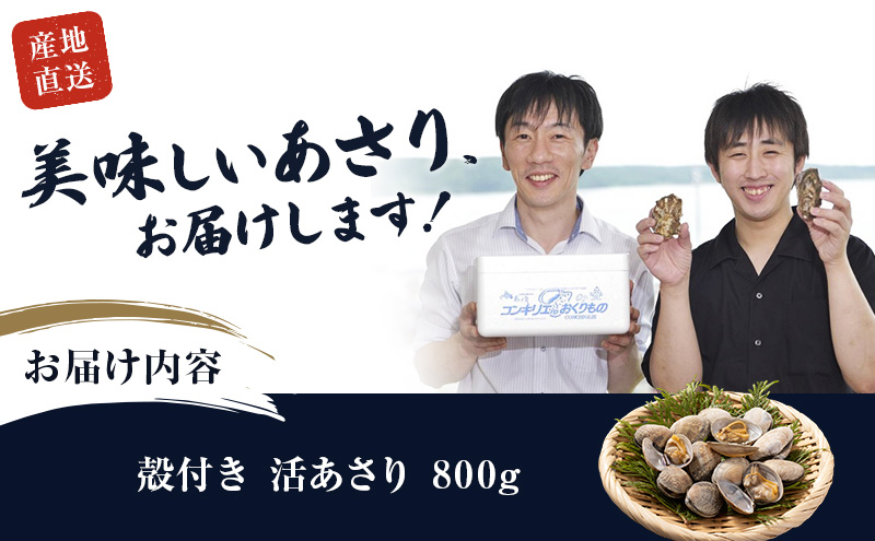 北海道 厚岸産 砂出し済み 活殻付き あさり 800g  新鮮 美味しい アサリ