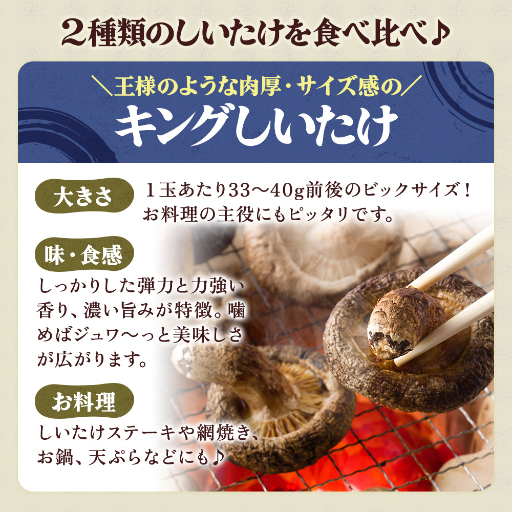 蛹玲オキ驕鍋肇 蜴壼イク逕コ 荳雁ーセ蟷 闖悟コ頑ス蝓ケ 繧ュ繝ウ繧ー縺励>縺溘¢ 繝励Μ繝ウ繧ケ縺励>縺溘¢ 蜷1繝代ャ繧ッ