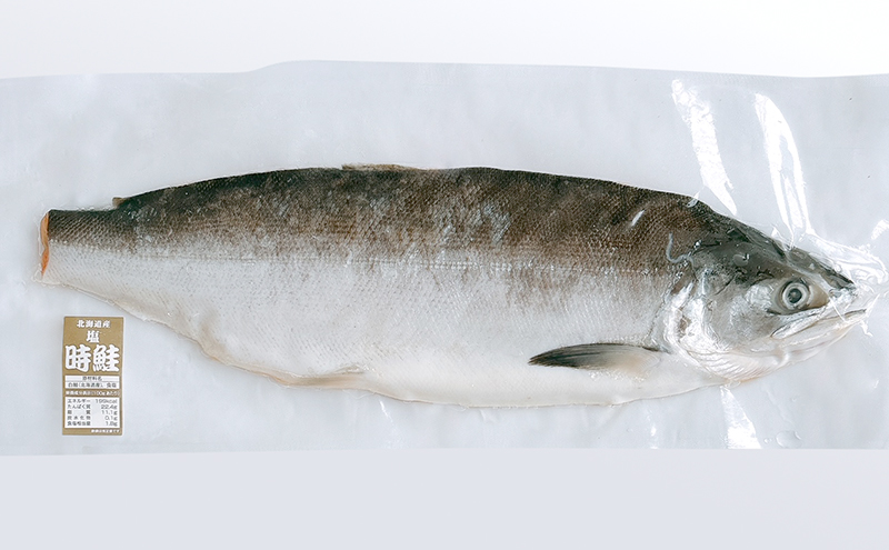 北海道産 時鮭 半身 500g～550g 鮭 さけ シャケ 魚 甘塩 冷凍 半身加工 旬 