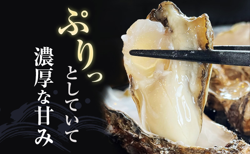 厚岸産 牡蠣 「マルえもん」 LLサイズ 30個 (約4kg) と 厚岸産 あさり 1kg セット (合計約5kg) 牡蠣 あさり