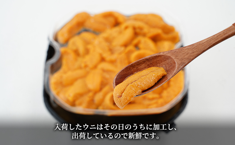 北海道産 バフンウニ 塩水パック 100g×1 雲丹 ウニ うに 新鮮 海産物 冷蔵 濃厚 甘い 国産