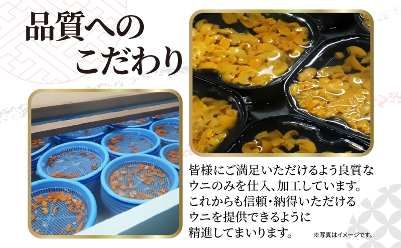 ロシア産 バフンウニ 塩水パック 100g×2 雲丹 ウニ うに 新鮮 海産物 冷蔵 濃厚 甘い