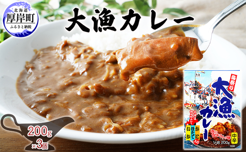 大漁カレー 200g×3個 カレー レトルト