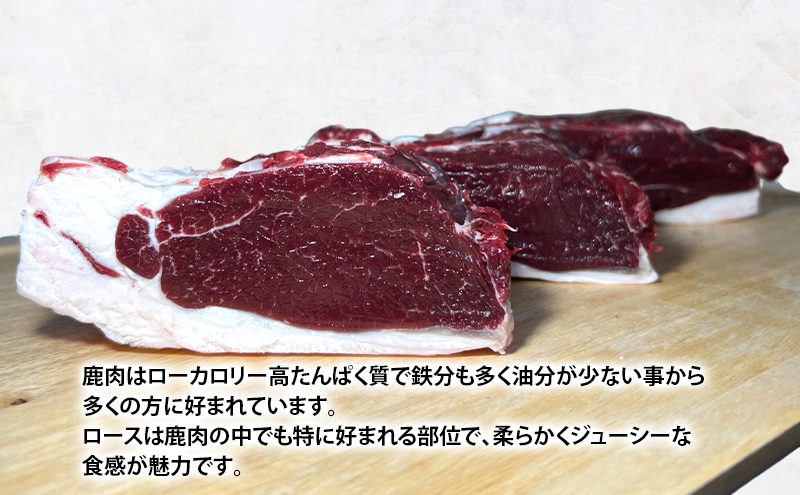 北海道 厚岸産 エゾシカ シンタマ ロース 約1kg  鹿 食肉用 鹿肉