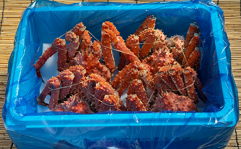 åæµ·é åå²žç£ èš³ãã å·å ãã€ã«ããã°ãã«ãçŽ2.0kgïŒ2å°Ÿïœ5å°Ÿå
¥ïŒè¹ ã«ã ã¿ã©ãã¬ã ããã°è¹ ã¿ã©ãè¹ ãã€ã« å岞çº