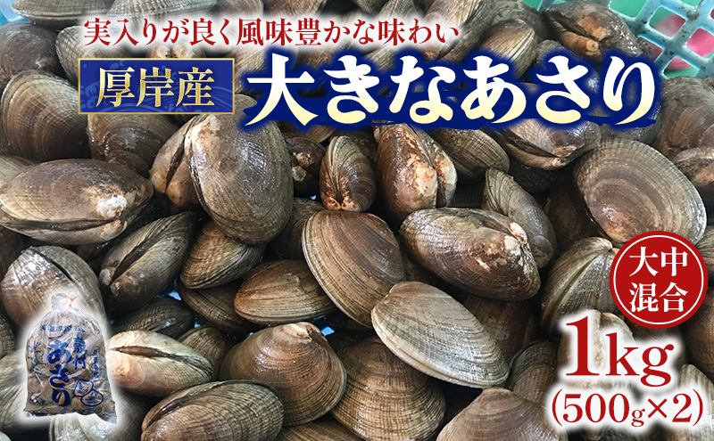 北海道 厚岸産 あさり 500g×2パック (合計1kg) 大中混合 アサリ 魚貝 海 美味しい 栄養 旨み 砂出し 水洗い 冷蔵 冷凍保存可能 便利