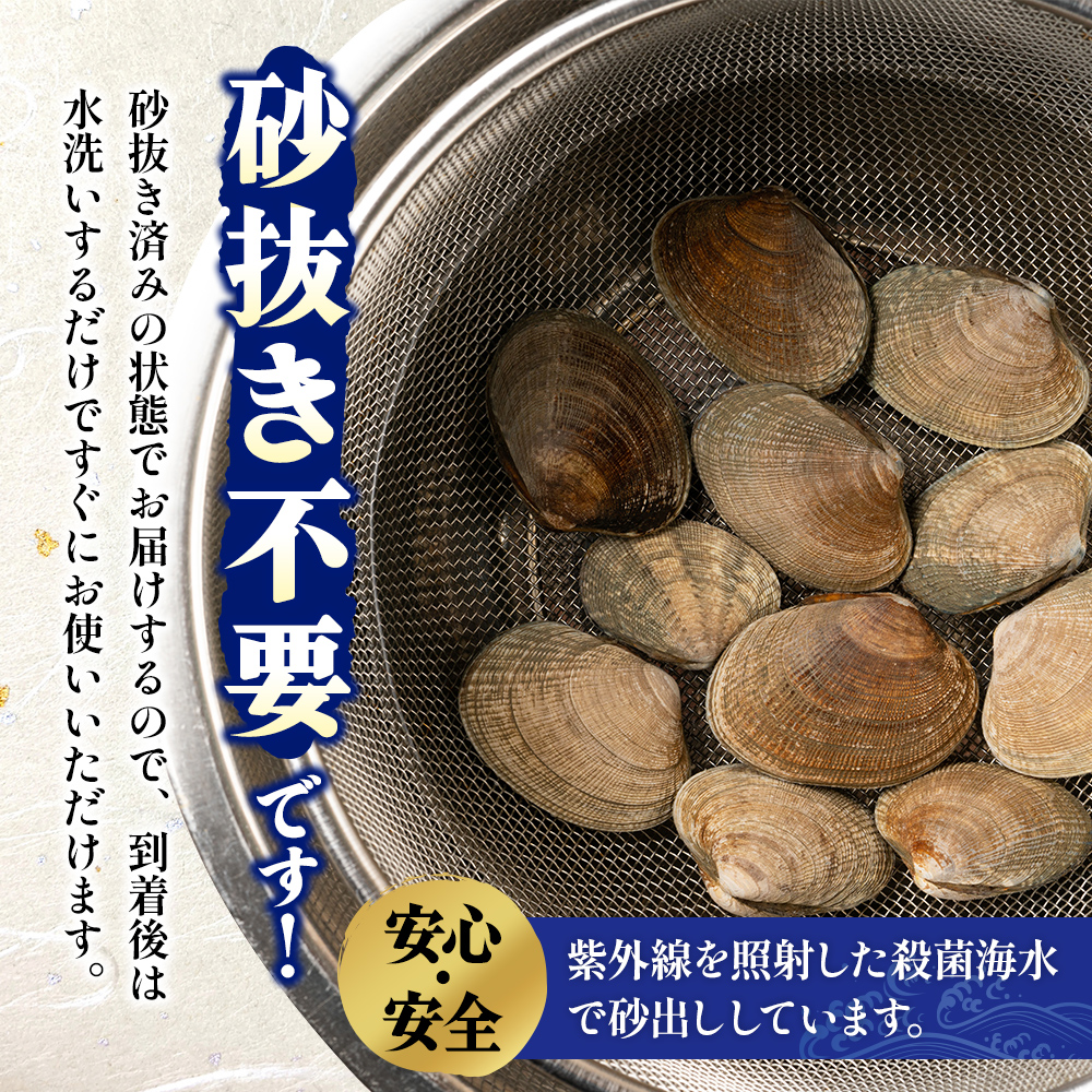 蛹玲オキ驕 蜴壼イク逕」 縺ゅ&繧 500gテ2繝代ャ繧ッ (蜷郁ィ1kg) 螟ァ荳ュ豺キ蜷 繧「繧オ繝ェ 鬲夊イ 豬キ 鄒主袖縺励> 譬鬢 譌ィ縺ソ 遐ょコ縺 豌エ豢励> 蜀キ阡オ 蜀キ蜃堺ソ晏ュ伜庄閭ス 萓ソ蛻ゥ