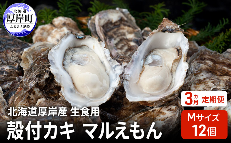 【 3ヵ月 定期便 】 北海道厚岸産 生食用 殻付カキ Mサイズ  12個　マルえもん 魚貝類 海の幸 海のミルク 海鮮 国産 北海道産 オイスター つまみ お酒 あて 肴 生牡蠣 メルマガ掲載商品1