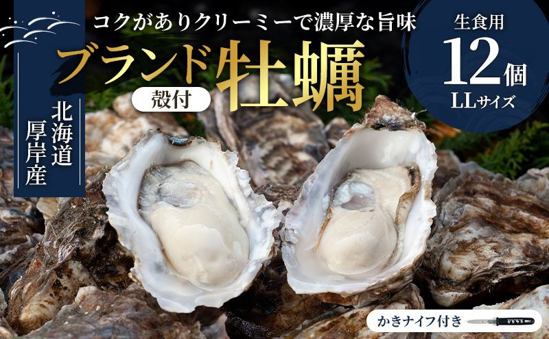 北海道厚岸産 生食用 殻付カキ LLサイズ  12個　マルえもん 魚貝類 海の幸 海のミルク 海鮮 国産 北海道産 オイスター つまみ お酒 あて 肴 生牡蠣 メルマガ掲載商品1