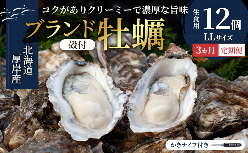 【 3ヵ月 定期便 】 北海道厚岸産 生食用 殻付カキ LLサイズ  12個　マルえもん 魚貝類 海の幸 海のミルク 海鮮 国産 北海道産 オイスター つまみ お酒 あて 肴 生牡蠣 メルマガ掲載商品1