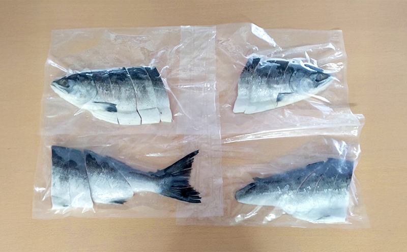 北海道産 塩時鮭 姿切身 1尾 約1.2kg （300g×4パック） [ 鮭 さけ 時鮭 貴重 焼き魚 魚 魚介類 サケ ] 
