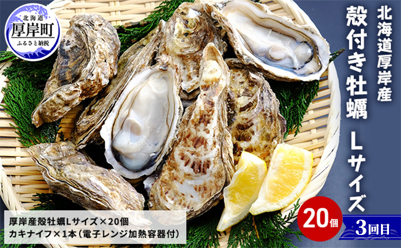 厚岸の牡蠣の魅力お届けします 4ヵ月定期便　頒布会 連続お届け セット 詰合せ 牡蠣 カキ かき 殻付 貝 海鮮 魚介類 オイスターチャウダー スープ 牛乳 ミルク 時短 レンチン 調味料 加工品 醤油 ソース 塩 燻製 アヒージョ 北海道 厚岸町