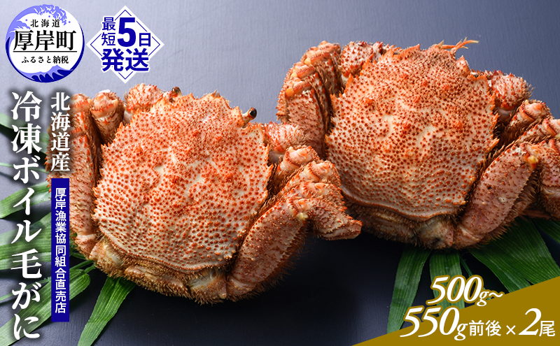 訳あり 3D冷凍 北海道産冷凍ボイル毛がに 500g～550g前後×2尾 [ 毛カニ 蟹 毛ガニ カニ かに ]