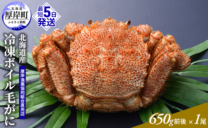 訳あり 3D冷凍 北海道産冷凍ボイル毛がに 650g前後×1尾 [ 毛カニ 蟹 毛ガニ カニ かに ]