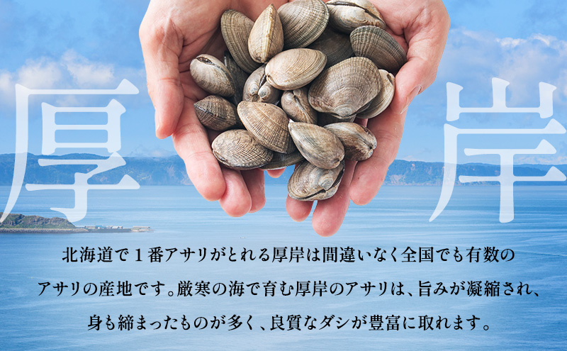 【10月発送】訳あり 北海道 厚岸産 砂出し済み 活あさり 500g×2 (合計1kg) 【厚岸海産】[ アサリ 魚貝 海鮮 大粒 美味しい 栄養 旨み 砂出し 水洗い 冷蔵 便利 ] 