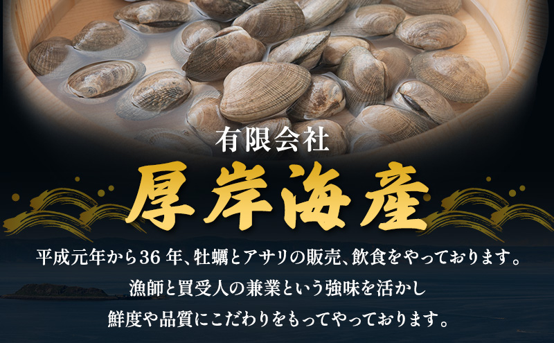 【10月発送】訳あり 北海道 厚岸産 砂出し済み 活あさり 500g×2 (合計1kg) 【厚岸海産】[ アサリ 魚貝 海鮮 大粒 美味しい 栄養 旨み 砂出し 水洗い 冷蔵 便利 ] 