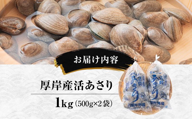 【10月発送】訳あり 北海道 厚岸産 砂出し済み 活あさり 500g×2 (合計1kg) 【厚岸海産】[ アサリ 魚貝 海鮮 大粒 美味しい 栄養 旨み 砂出し 水洗い 冷蔵 便利 ] 