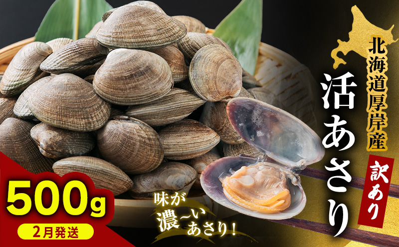 2月発送 北海道 厚岸産 訳あり 活あさり 500g  アサリ 魚貝 海鮮 大粒 美味しい 栄養 旨み 砂出し 水洗い 冷蔵 冷凍保存可能 便利