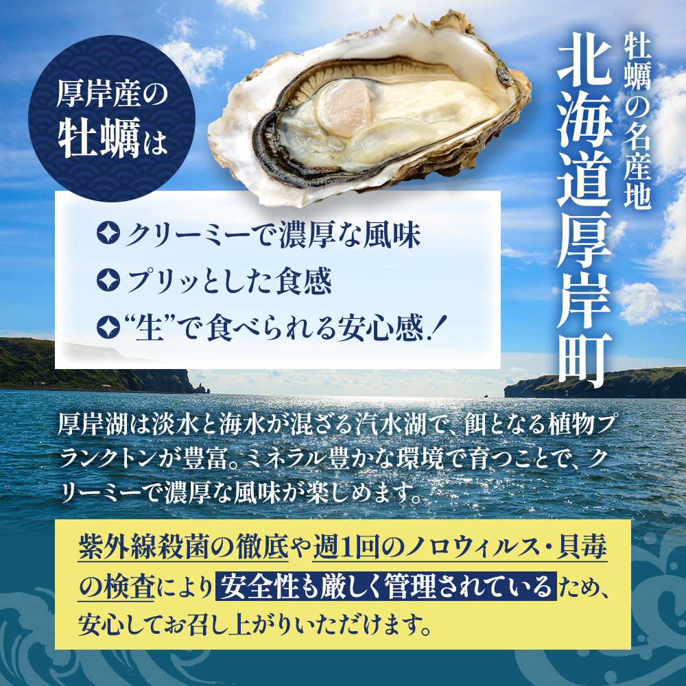 北海道 厚岸産 かきの塩辛 300g(100g×3本) 【厚岸海産】[ 塩辛 生食 むき身 生牡蠣 貝 海鮮 おつまみ つまみ 魚介類 加工食品 ] 