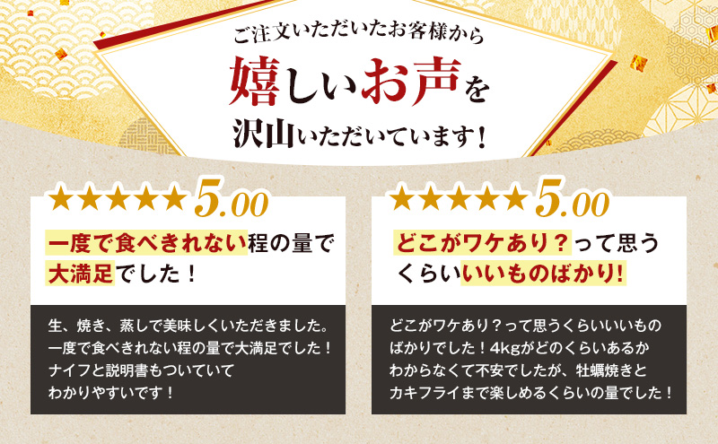 12ヵ月定期便 訳あり 牡蠣 北海道厚岸産 殻付カキ 約4kg (25から50個) カキナイフ付 生食 生牡蠣 貝付き牡蠣 貝 海鮮 魚介類 殻付き牡蠣 マルえもん