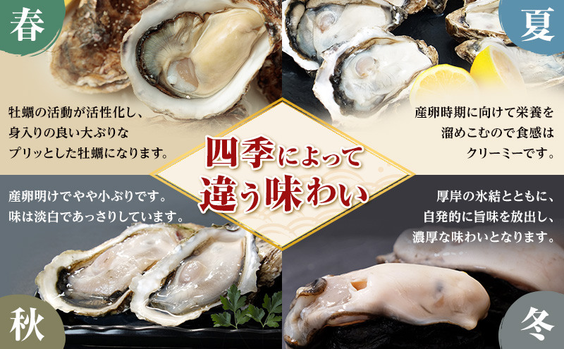 12ヵ月定期便 訳あり 牡蠣 北海道厚岸産 殻付カキ 約4kg (25から50個) カキナイフ付 生食 生牡蠣 貝付き牡蠣 貝 海鮮 魚介類 殻付き牡蠣 マルえもん