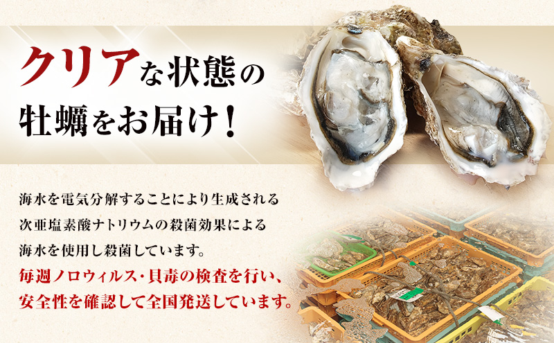 12ヵ月定期便 訳あり 牡蠣 北海道厚岸産 殻付カキ 約4kg (25から50個) カキナイフ付 生食 生牡蠣 貝付き牡蠣 貝 海鮮 魚介類 殻付き牡蠣 マルえもん