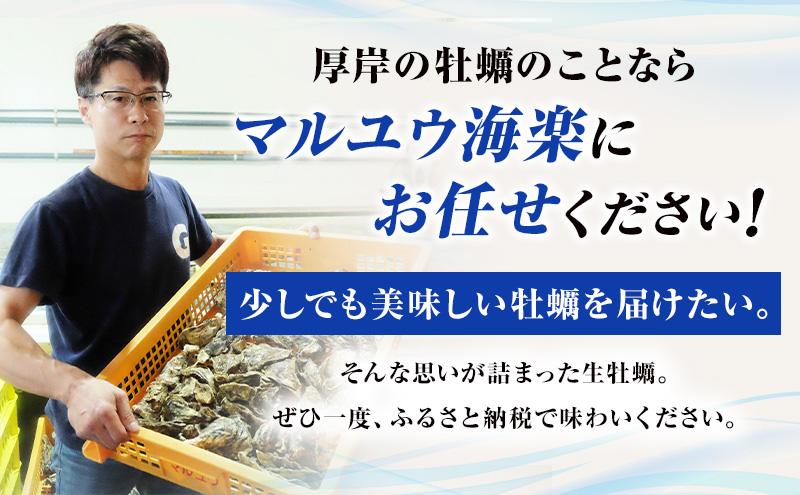 12ヵ月定期便 訳あり 牡蠣 北海道厚岸産 殻付カキ 約4kg (25から50個) カキナイフ付 生食 生牡蠣 貝付き牡蠣 貝 海鮮 魚介類 殻付き牡蠣 マルえもん
