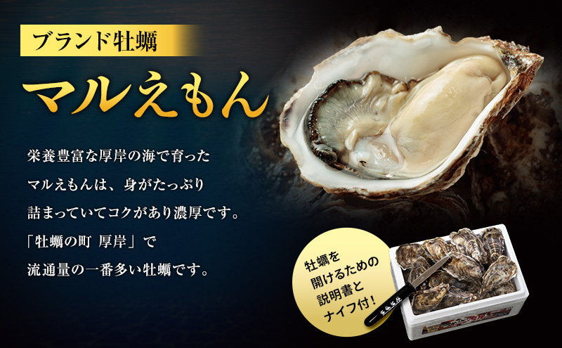 12ヵ月定期便 訳あり ハーフ 規格外 牡蠣 北海道厚岸産 殻付カキ 約2kg（11～25個）カキナイフ付 生食 魚貝類 生牡蠣 かき 生カキ カキフライ マルえもん いびつな形 四季によって違う味わい コクがあり濃厚